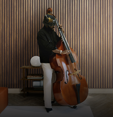 Acoustic Slat Wood Wall